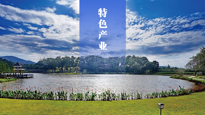 特色产业