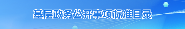 基层麻豆视频公开
事项标准目录